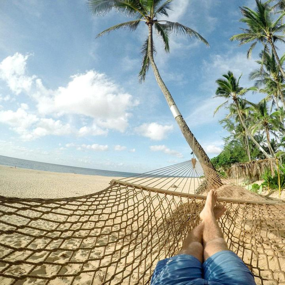 Meet your Posher, Joe - Picture 2 of 8